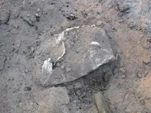 Свинина на ґратах фользі