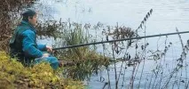 підгодовування