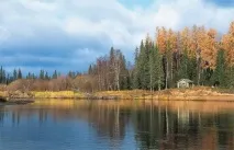 підгодовування