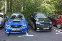 зоологическа писаница