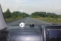 зоологическа зоологическа