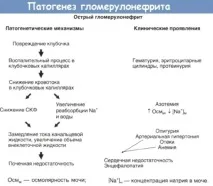 Гострий постстрептококовий гломерулонефрит у дітей форми та види, симптоми, лікування постстрептококовий