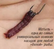 осінній