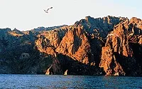 превозни средства туризъм