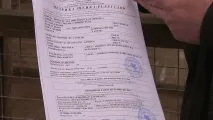 Пес у мішку Увімкни настрій увімкни