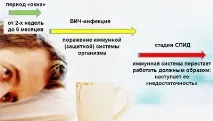 Період вікна ВІЛ проблема аналізу та період у 6 місяців період