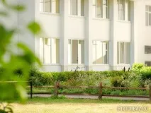 салинь