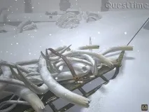 върху левия сибир