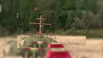 watch международния