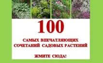 Підживлення рослин, ЧУДОВІ ІДЕЇ ДЛЯ САДУ ідеї