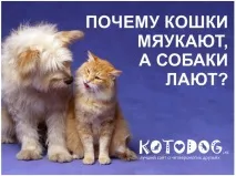 звуци които лаят