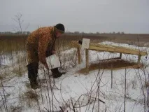 Підживлення зайців - Мисливство та рибалка в Україні та за кордоном мисливство