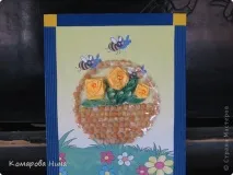 країна