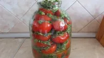 домати домати