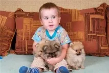 деца деца