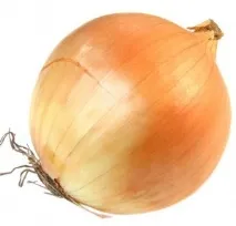 полезни лука