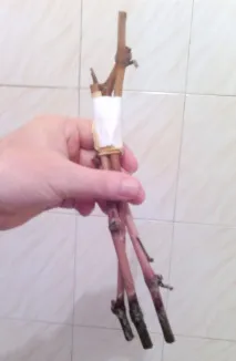 засаждане резници