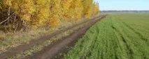 Село Половецьке селищі