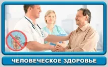 Застосування гасу від клопів плюси та мінуси способу застосування