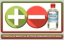 Застосування гасу від клопів плюси та мінуси способу застосування
