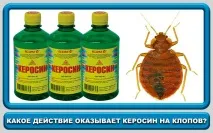 Застосування гасу від клопів плюси та мінуси способу застосування