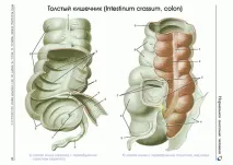 интоксикация хронична