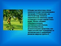 презентація