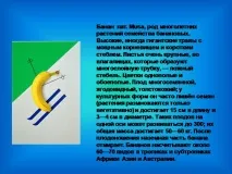тему