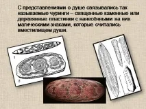 презентация ранни