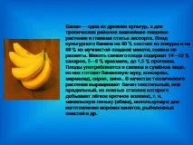 презентація