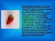 презентація