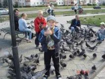 тази птица Знаци всеки