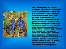 ягідні