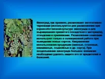 культури