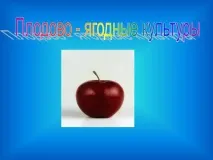 тему