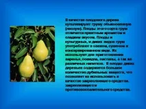 ягідні