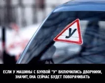 тази птица Знаци всеки
