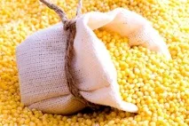 Пшоняна каша для дитини 1 року готуємо пшоняну та пшеничну кашу для дітей каша