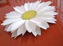 лайка прави