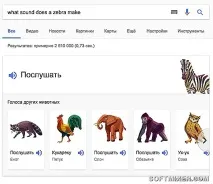 нещо върху бутона