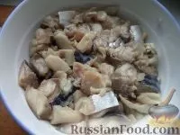 риба