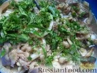 риби