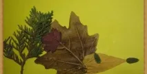 buratino buratino