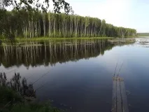 Рибалка в Орловській області у 2018-2019 роках області