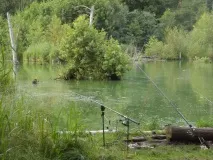 Рибалка в Орловській області у 2018-2019 роках області