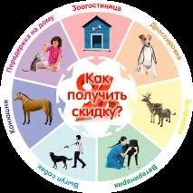 Реальний заробіток в інтернеті з нуля реальний