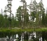 збір