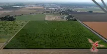 Найбільший у світі крижаний лабіринт і ще 15 незвичайних лабіринтів - Вісник До крижаний