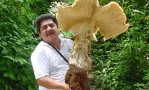 света света