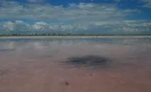Рожеве озеро на Алтаї Алтаї